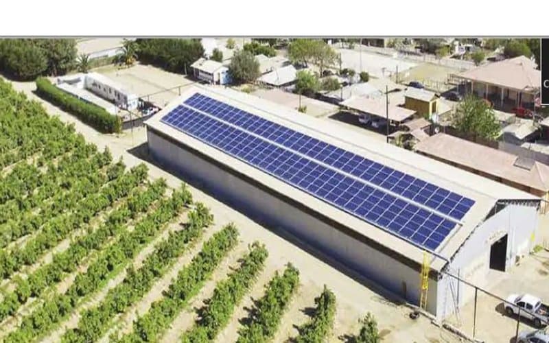 Vista aérea de los paneles solares sobre la bodega de Viña Casablanca, junto a los viñedos